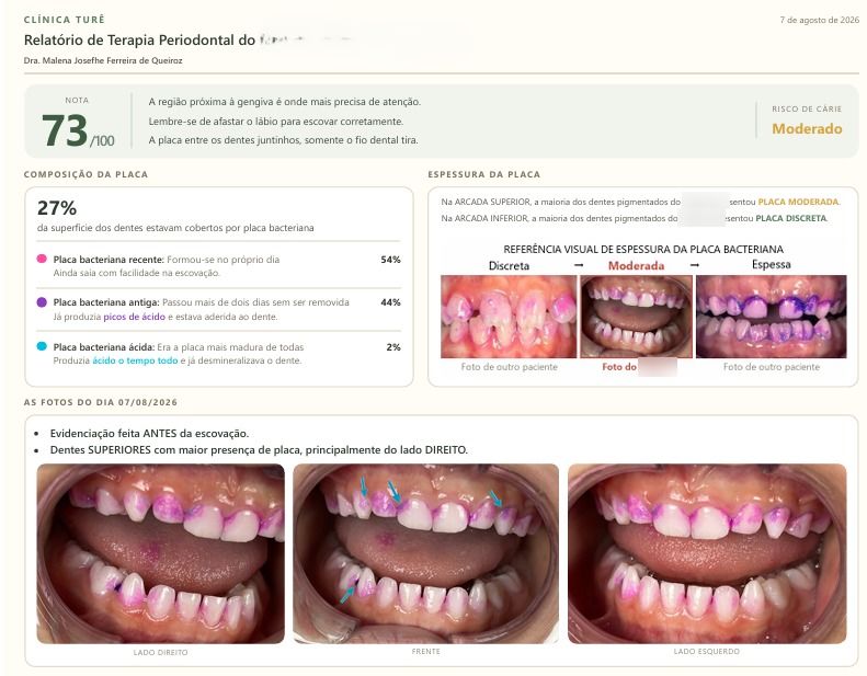 Relatório de placa da Clínica Turê, com nota, composição da placa e as fotos do dia